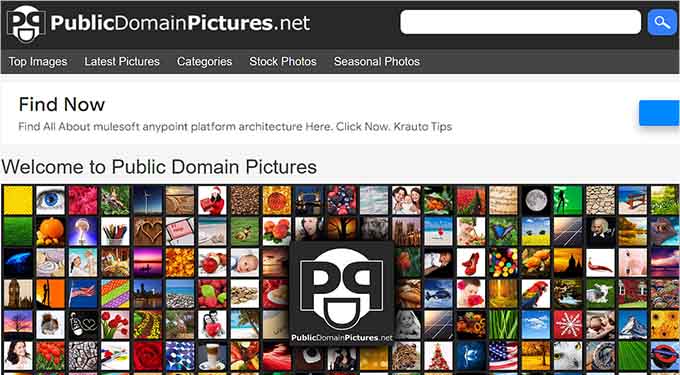 Public Domain Pictures website